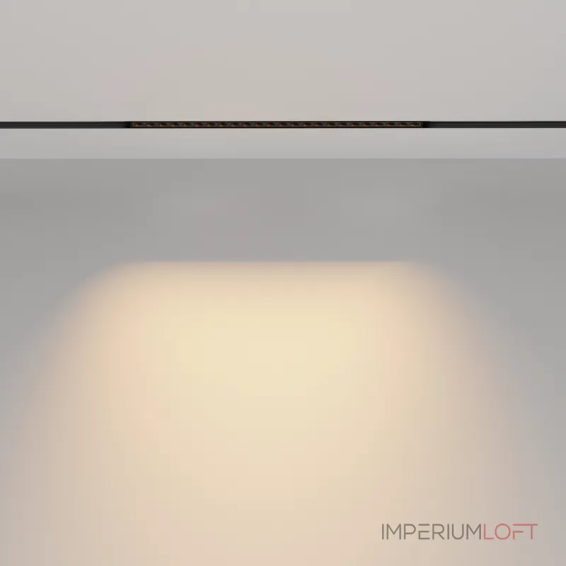 Трековый светильник Maytoni EXILITY TR031-2-24W2.7K-B от ImperiumLoft