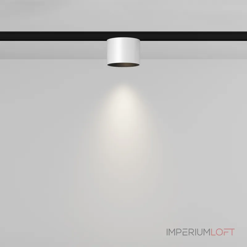 Трековый светильник Maytoni LEVITY TR188-1-5W4K-M-BW от ImperiumLoft