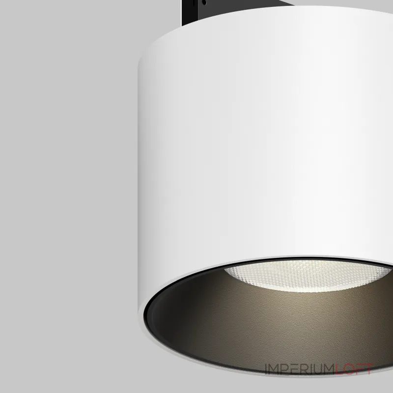 Трековый светильник Maytoni LEVITY TR188-1-5W4K-M-BW от ImperiumLoft