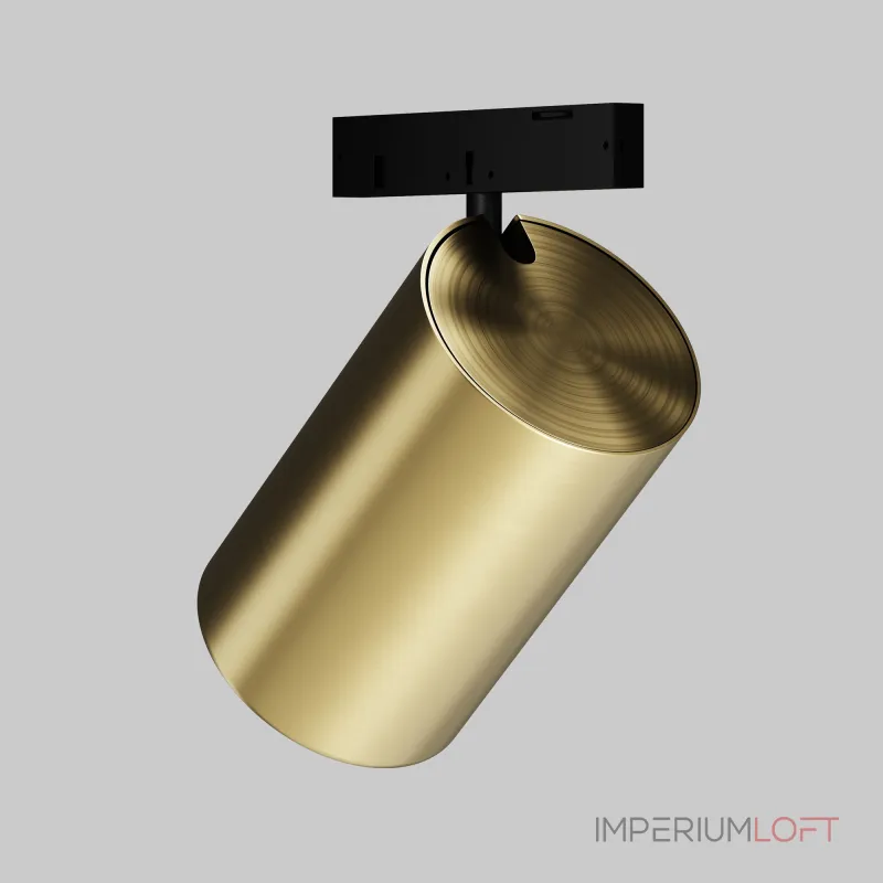 Трековый светильник Maytoni LEVITY TR187-1-9W4K-M-BBS от ImperiumLoft