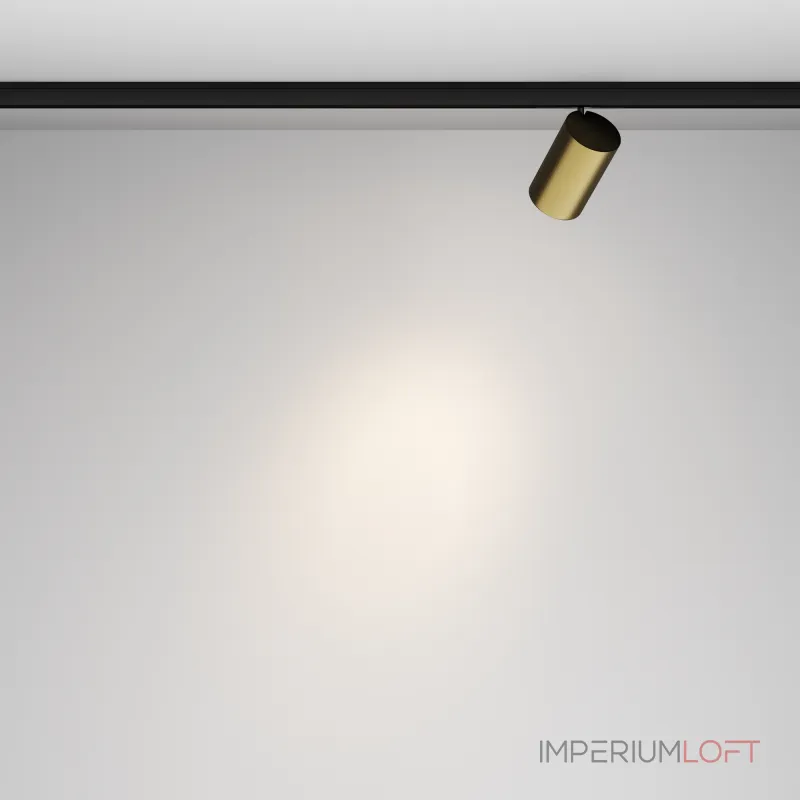 Трековый светильник Maytoni LEVITY TR187-1-9W4K-M-BBS от ImperiumLoft