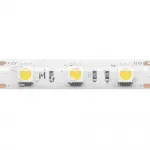 Светодиодная лента Maytoni 12В 5050 14,4Вт/м 3000K 5м IP 65 201186 от ImperiumLoft