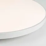 Потолочный светильник LEDtrec LT304-470 от ImperiumLoft