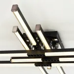 Потолочный светильник MODELIGHT MDL.9376.700CL BK от ImperiumLoft