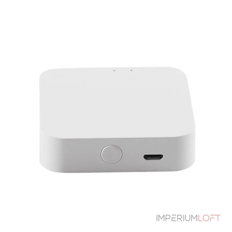 Конвертер WI FI LEDtrec magnetic LT.25250 от ImperiumLoft