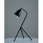 Лампа настольная Moderli V10998-T Show от ImperiumLoft