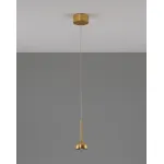 Подвесной светильник Moderli V10894-PL Fiona