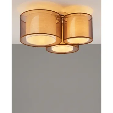 Светильник потолочный Moderli V10623-3C Room