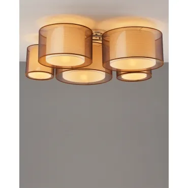 Светильник потолочный Moderli V10624-5C Room