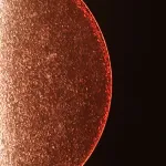 Подвесной светильник DeMarkt Фрайталь 663012301 от ImperiumLoft