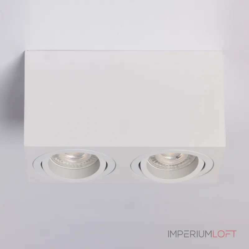 Потолочный светильник DeMarkt Прайм 850011502 от ImperiumLoft