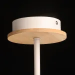 Потолочная люстра De City Дэла 635015003