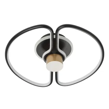 Потолочный светильник DeMarkt Толедо 312012501 Потолочный светильник DeMarkt Толедо 312012501