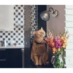 Бра De City Клэр 463021901 от ImperiumLoft