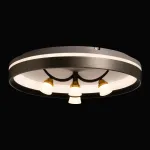 Потолочная люстра De City Норден 660014901