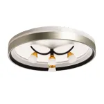 Потолочная люстра De City Норден 660014901