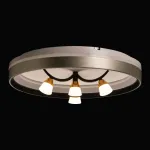 Потолочная люстра De City Норден 660014901