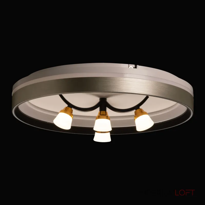 Потолочная люстра De City Норден 660014901