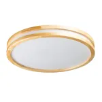 Потолочный светильник De City Норден 660015401