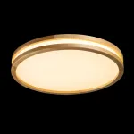 Потолочный светильник De City Норден 660015401