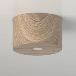 Накладной светильник DeMarkt Иланг 4 712010201 Цвет арматуры коричневый Цвет плафонов коричневый от ImperiumLoft