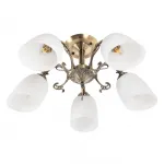 Потолочная люстра MyFar Biene MR1521-5C