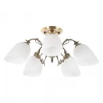 Потолочная люстра MyFar Biene MR1521-5C