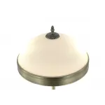 Интерьерная настольная лампа MyFar Biene MR2522-2T от ImperiumLoft