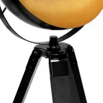 Настольная лампа декоративная Eglo Covaleda 49617 от ImperiumLoft