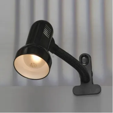 Настольная лампа офисная Lussole Sofia LST-4914-01