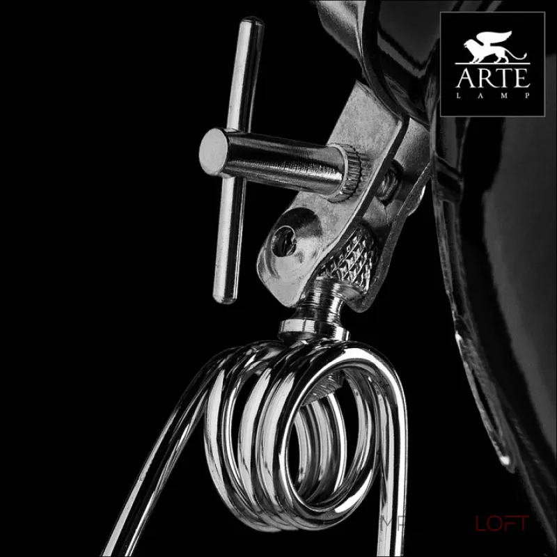 Настольная лампа декоративная Arte Lamp Dorm A1409LT-1BK от ImperiumLoft