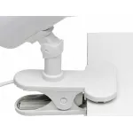 Настольная лампа офисная Brilliant Troll 36301A05 от ImperiumLoft