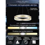 Подвесная люстра Natali Kovaltseva Ledlight INNOVATION STYLE 83143