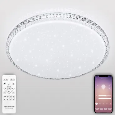 Потолочный светильник Natali Kovaltseva Sun LED LAMPS 81078 Потолочный светильник Natali Kovaltseva Sun LED LAMPS 81078