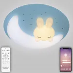 Потолочный светильник Natali Kovaltseva Kids LED LAMPS 81087