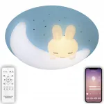 Потолочный светильник Natali Kovaltseva Kids LED LAMPS 81087