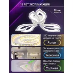 Потолочная люстра Natali Kovaltseva Fortuna LED LAMPS 81107/2C