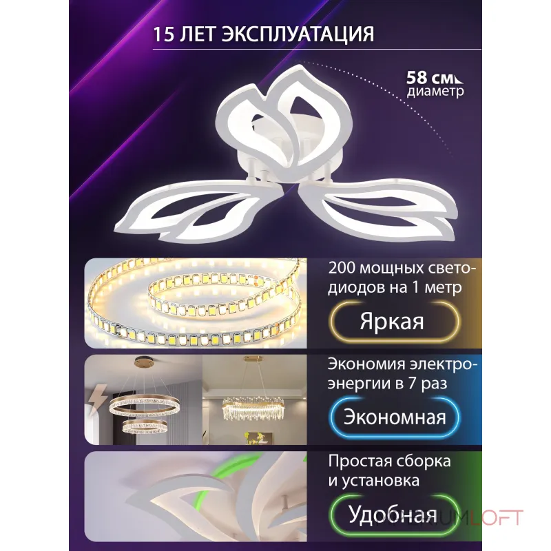 Потолочная люстра Natali Kovaltseva Fortuna LED LAMPS 81107/2C Потолочная люстра Natali Kovaltseva Fortuna LED LAMPS 81107/2C