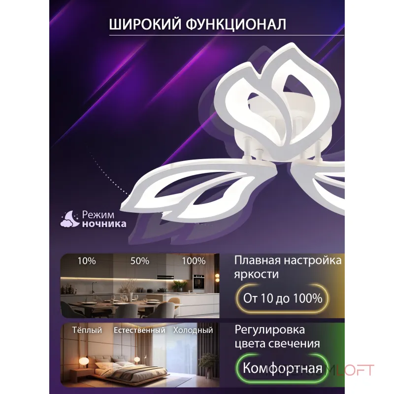 Потолочная люстра Natali Kovaltseva Fortuna LED LAMPS 81107/2C Потолочная люстра Natali Kovaltseva Fortuna LED LAMPS 81107/2C
