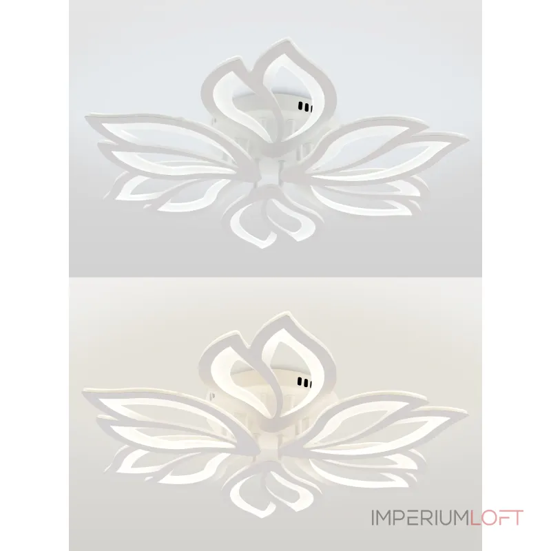 Потолочная люстра Natali Kovaltseva Fortuna LED LAMPS 81107/6C Потолочная люстра Natali Kovaltseva Fortuna LED LAMPS 81107/6C