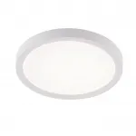 Потолочный светильник Natali Kovaltseva Plain LED LAMPS 81113/1C