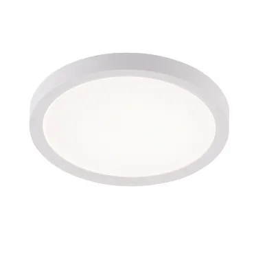 Потолочный светильник Natali Kovaltseva Plain LED LAMPS 81113/1C