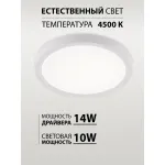 Потолочный светильник Natali Kovaltseva Plain LED LAMPS 81113/1C
