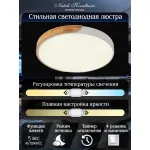 Потолочный светильник Natali Kovaltseva Scandinavian LED LAMPS 81182