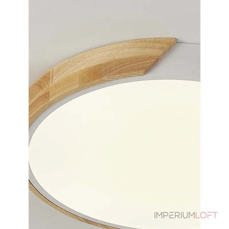 Потолочный светильник Natali Kovaltseva Scandinavian LED LAMPS 81182