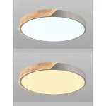 Потолочный светильник Natali Kovaltseva Scandinavian LED LAMPS 81184