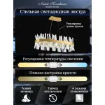 Подвесная люстра Natali Kovaltseva Smart Нимбы LED LAMPS 81250