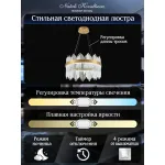 Подвесная люстра Natali Kovaltseva Smart Нимбы LED LAMPS 81260