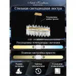 Подвесная люстра Natali Kovaltseva Smart Нимбы LED LAMPS 81264