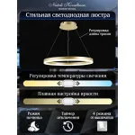 Подвесная люстра Natali Kovaltseva Ledlight LED LAMPS 81296